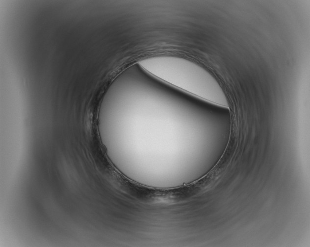 X0000116450263200912081420