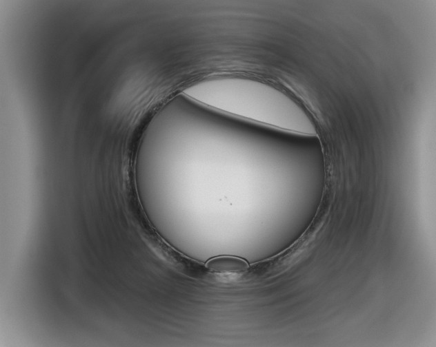 X0000116450265200912081420