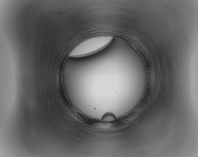 X0000116450266200912081420