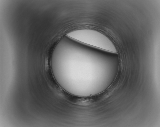 X0000116450267200912081420