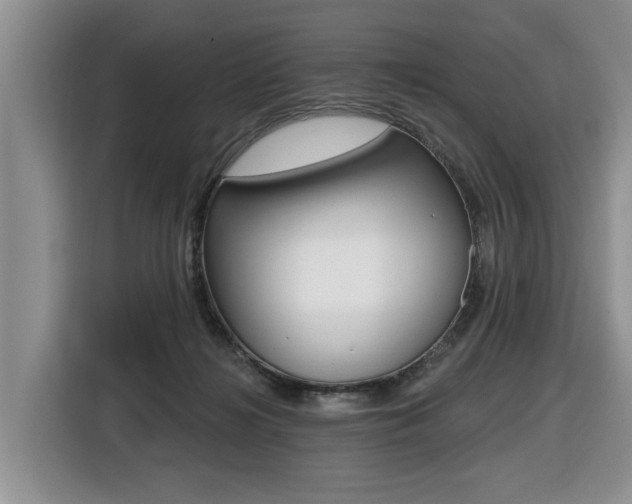 X0000116450268200912081420