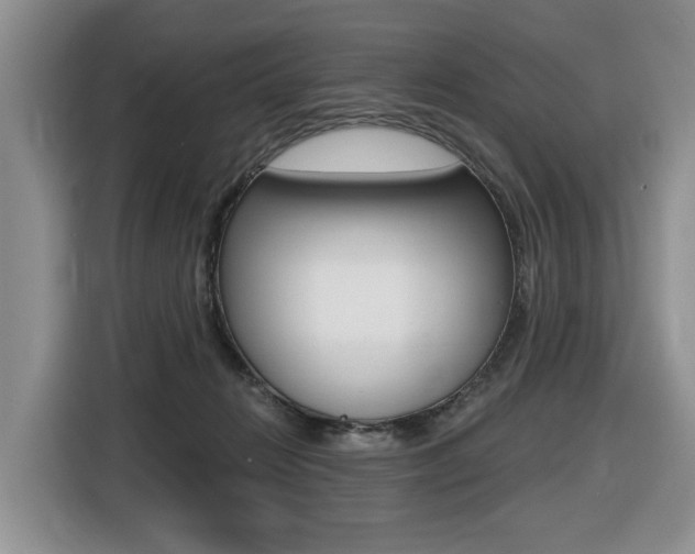 X0000116450270200912081420