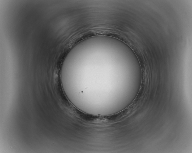 X0000116450271200912081420
