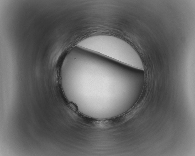 X0000116450273200912081420