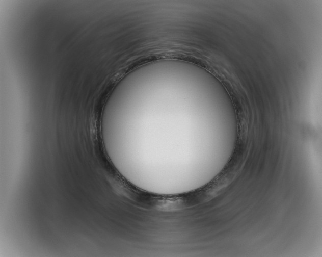 X0000116450274200912081420