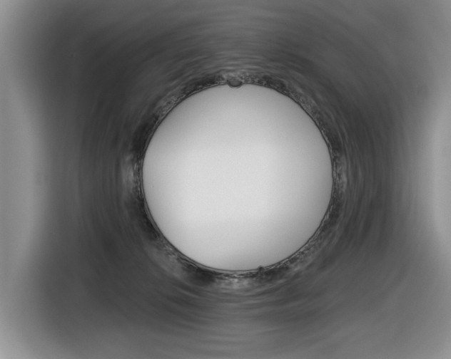 X0000116450276200912081420