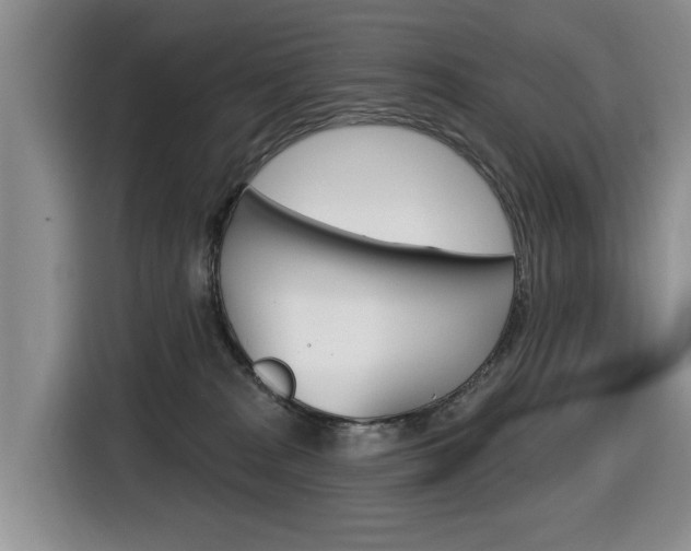 X0000116450277200912081420