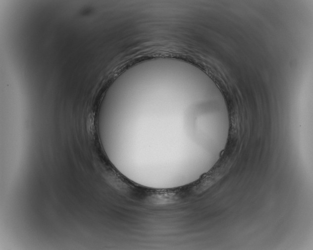X0000116450278200912081420