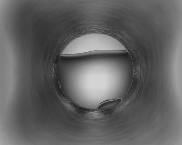X0000116450280200912081420