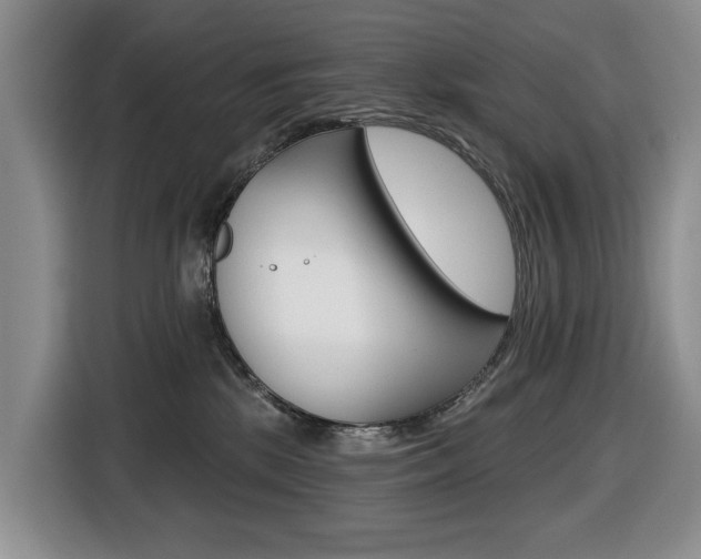 X0000116450281200912081420