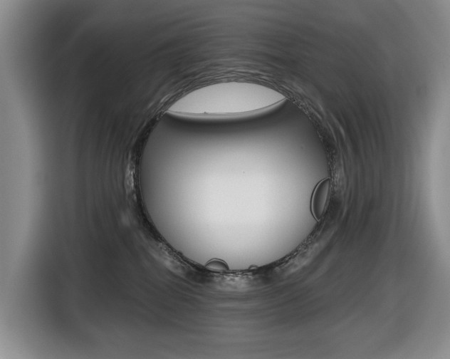 X0000116450282200912081420