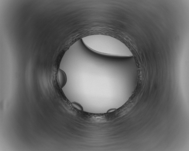X0000116450283200912081420