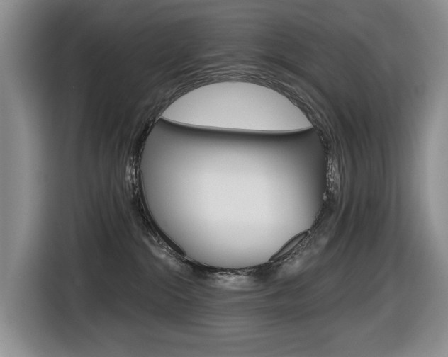 X0000116450284200912081420