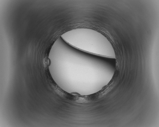 X0000116450285200912081420