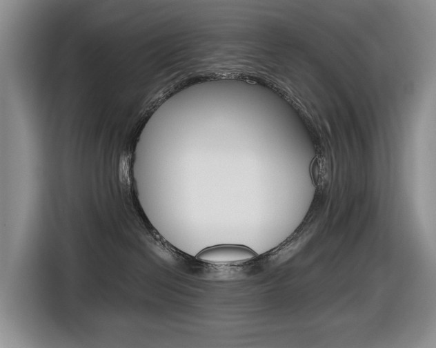X0000116450286200912081420