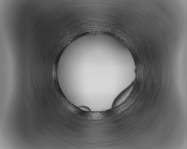 X0000116450287200912081420