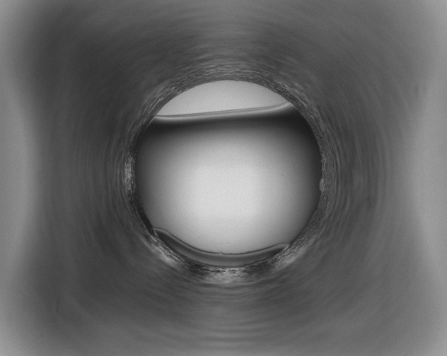 X0000116450288200912081420