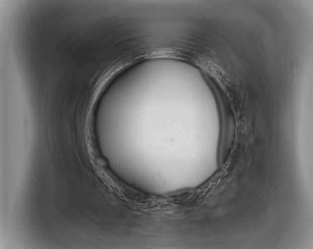 X0000116450289200912081419