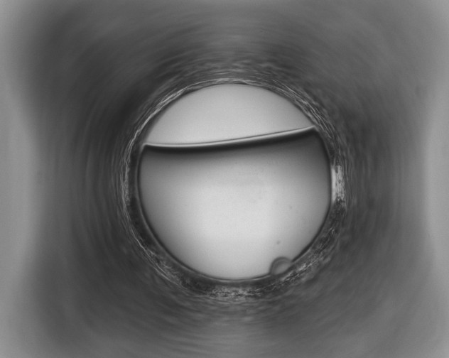 X0000116450291200912081419