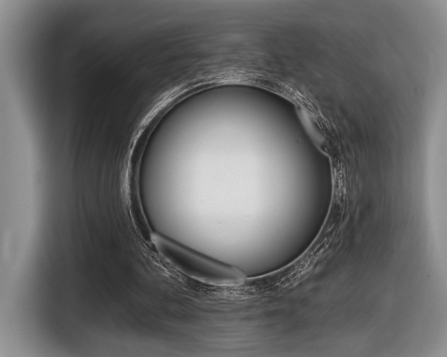X0000116450292200912081419