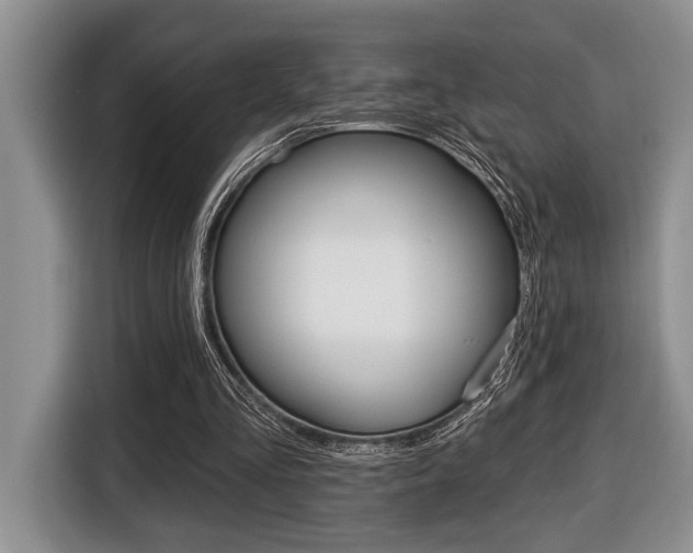 X0000116450293200912081419