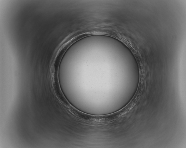 X0000116450295200912081419