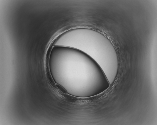 X0000116450296200912081419