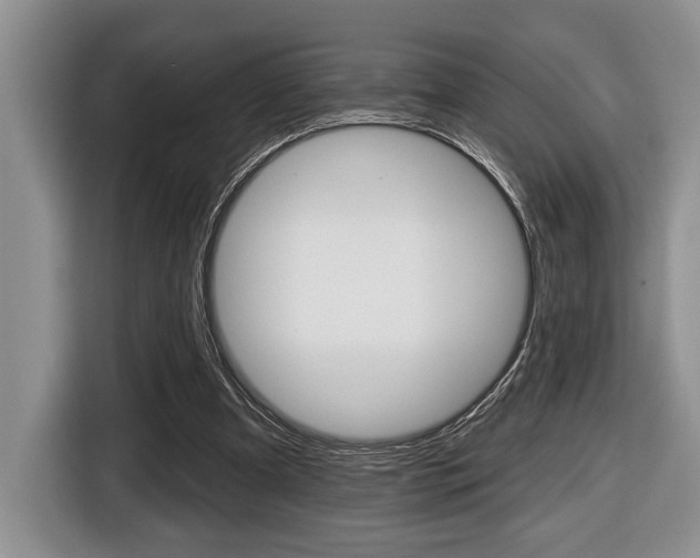 X0000116450297200912081419