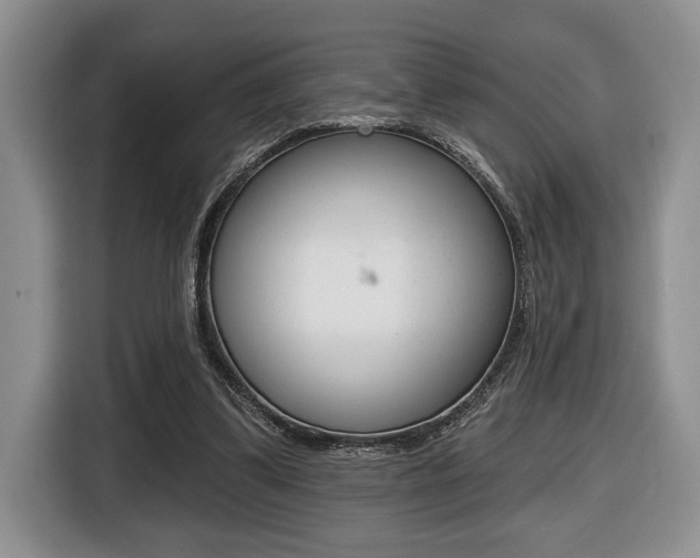 X0000116450299200912081419