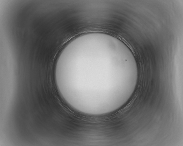 X0000116450301200912081419