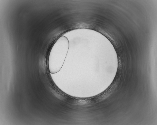 X0000116450302200912081419