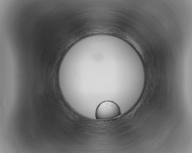 X0000116450305200912081419