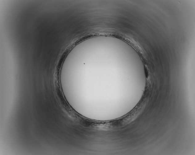 X0000116450306200912081419