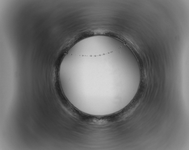 X0000116450311200912081419