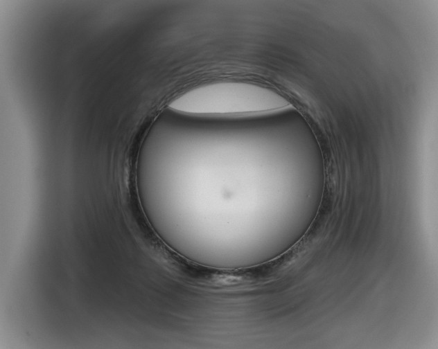 X0000116450315200912081419