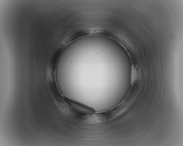 X0000116450316200912081419