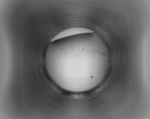 X0000116450317200912081419