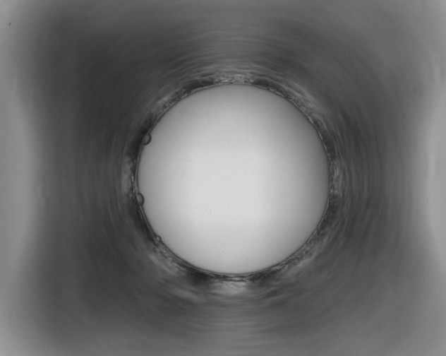 X0000116450318200912081419