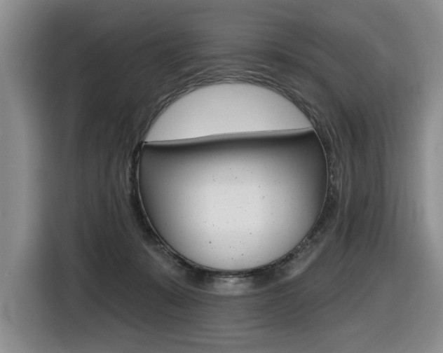 X0000116450319200912081419