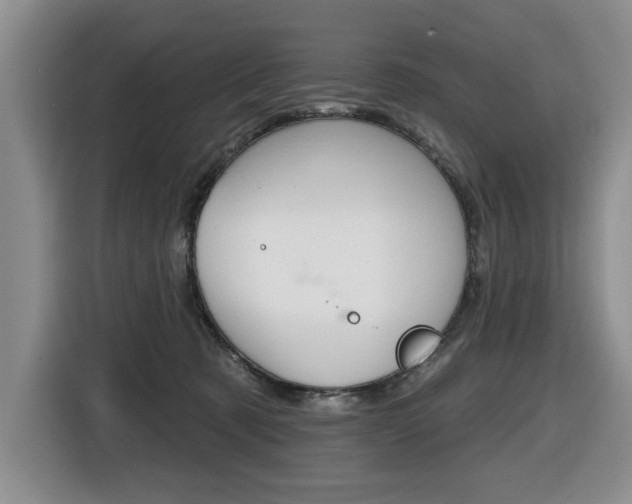 X0000116450321200912081419
