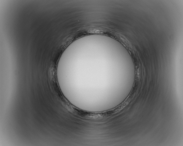 X0000116450322200912081419