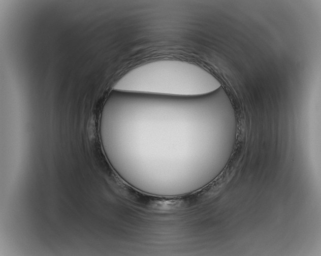 X0000116450323200912081419