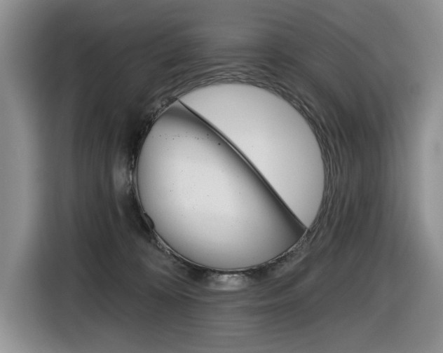 X0000116450324200912081419