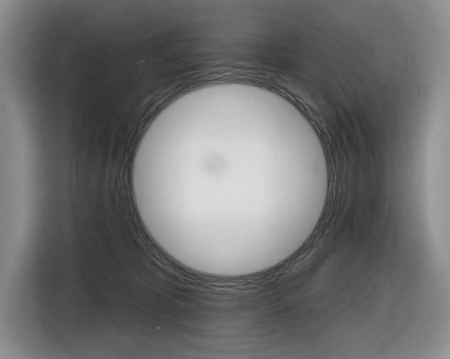 X0000116450325200912081419