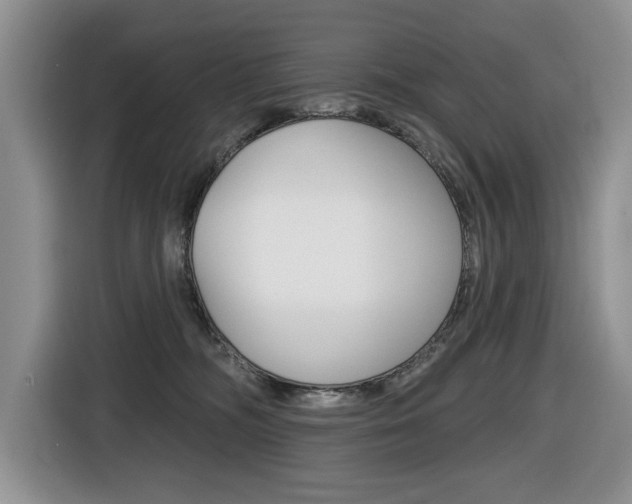 X0000116450326200912081419