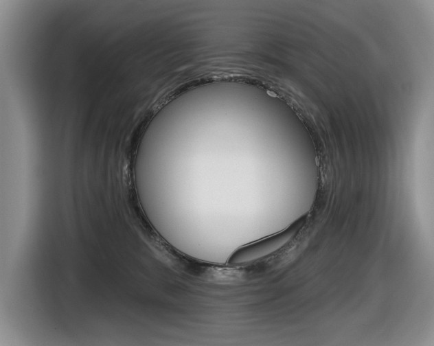 X0000116450327200912081419