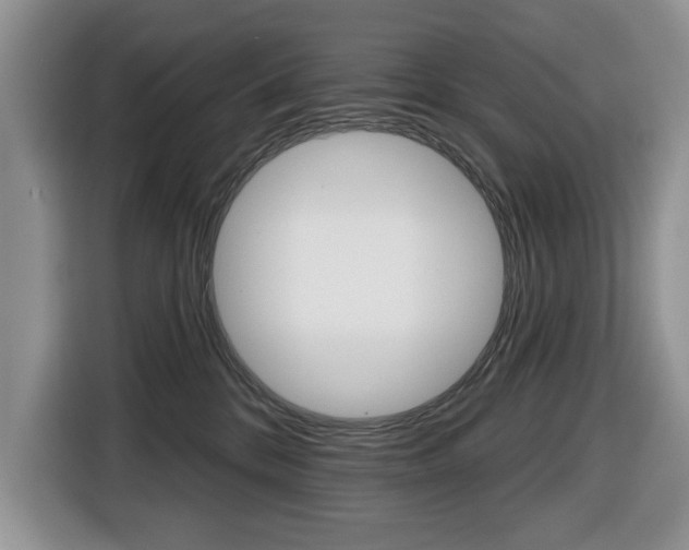X0000116450328200912081419