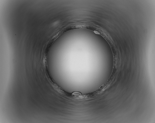 X0000116450329200912081419