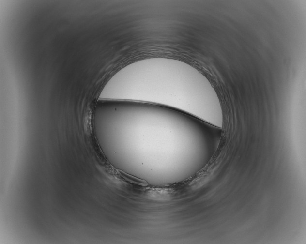 X0000116450332200912081419