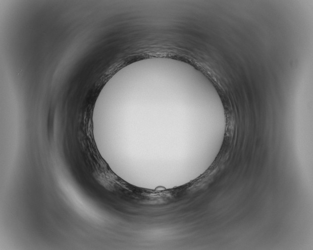 X0000116450334200912081419